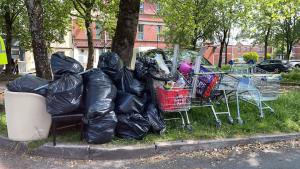 Reslut of two hours collecting litter.